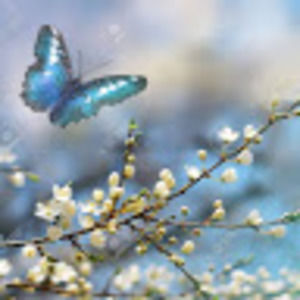 Meet your Posher, Holly